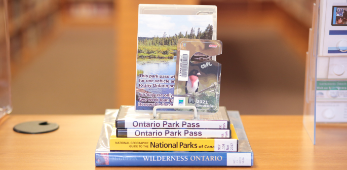 Ontario Parks Pass on display, upright, and resting atop a small stack of extra passes and Ontario wilderness books.