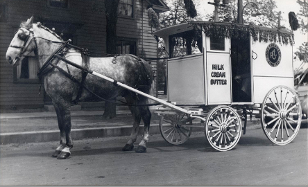 historical photograph of a horse pulling a creamery wagon
