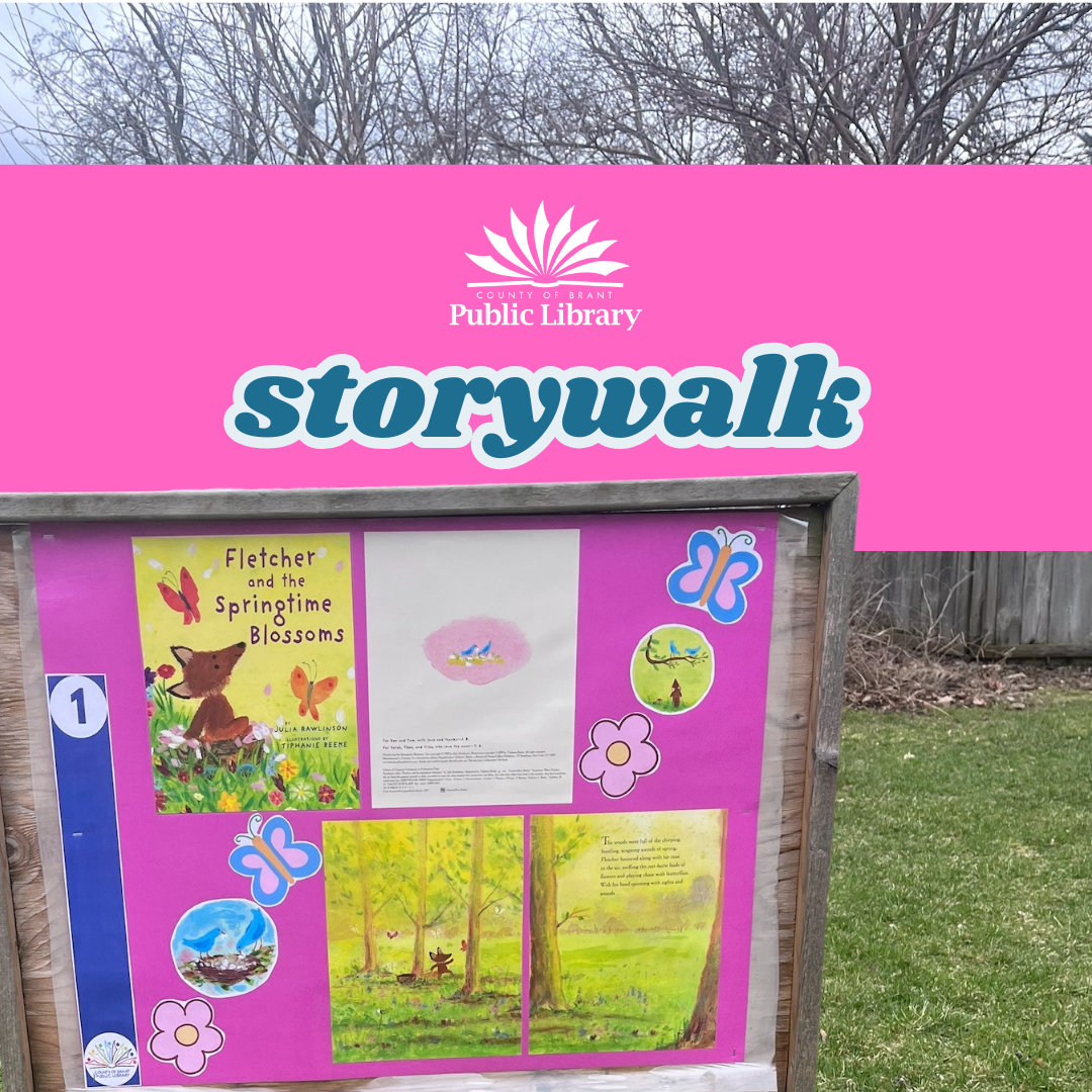 An image of the COunty of Brant Public LIbrary Storybook Walk in winter scenery